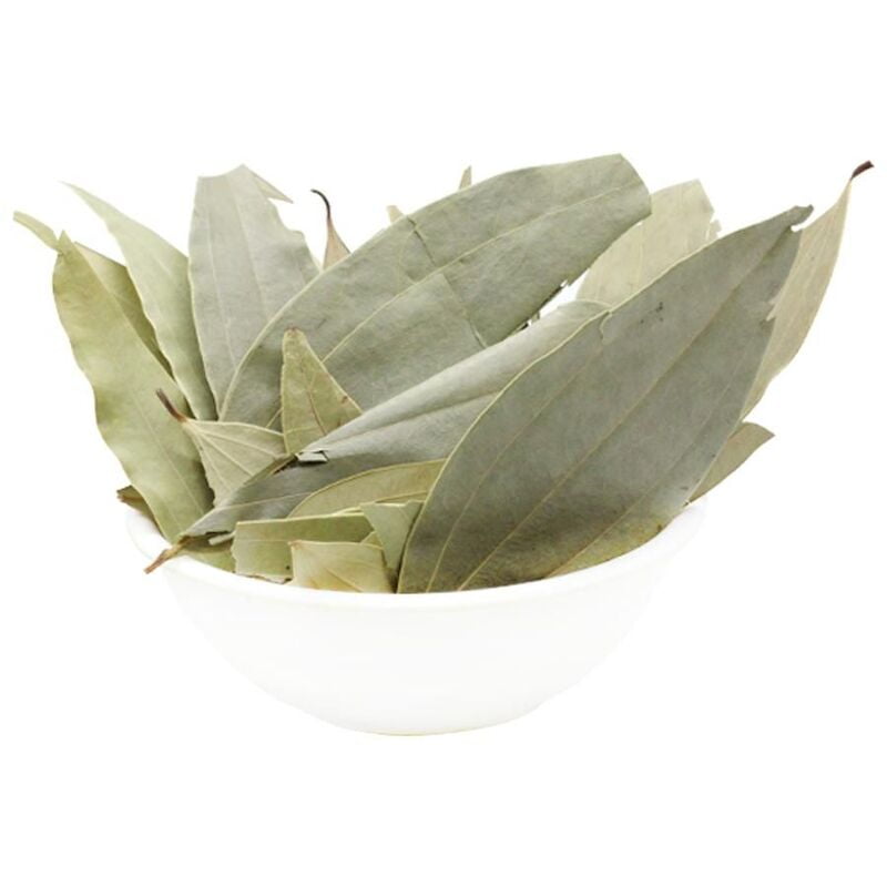 Bay/ Brinji leaf