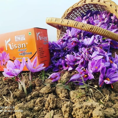 Saffron Saffron