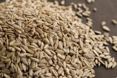 Sunflower Seed Kernels