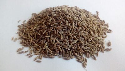 Cumin (Jeeragam)